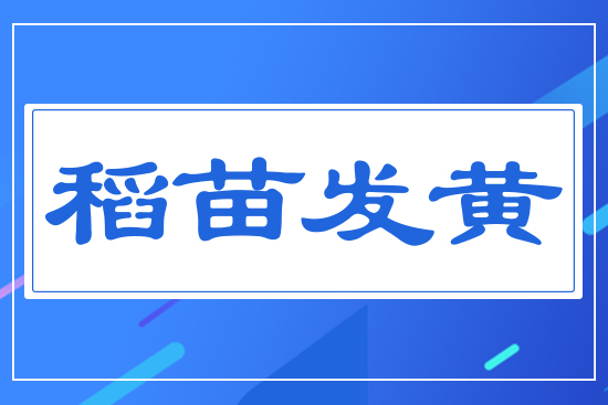 ����l(f��)�S