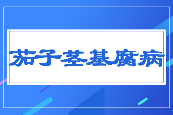 �����o������