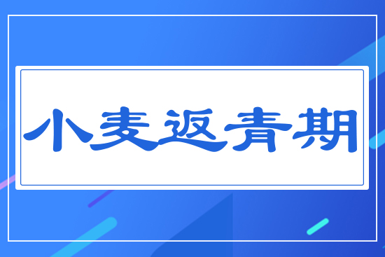 С��������