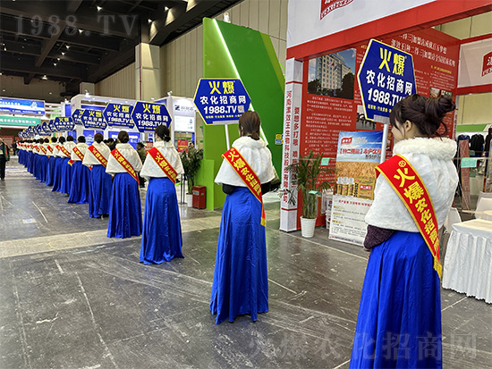 �𱬾W(w��ng)��Ů�Y�x�����(du��)����2024��ԭ�r(n��ng)�Y�p������