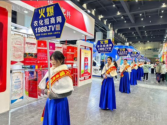 �𱬾W(w��ng)����2024��ԭ�r(n��ng)�Y�p����(hu��)������������