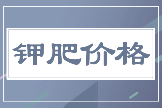 ⛷ʃr(ji��)��