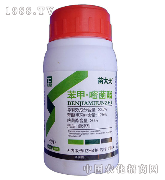 �����׾���-����-�̩