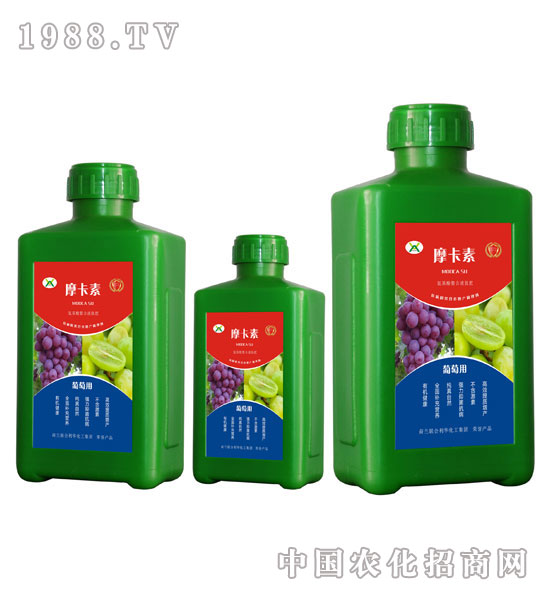 ���ь��ð���������Һ�ķ�-Ħ����-��о���H