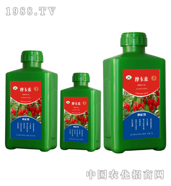 ��轌��ð���������Һ�ķ�-Ħ����-��(qi��ng)о��(gu��)�H