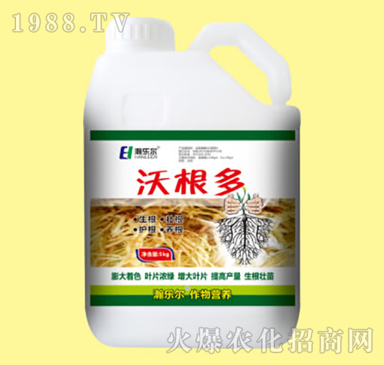 �ָ���-嫘�(l��)��