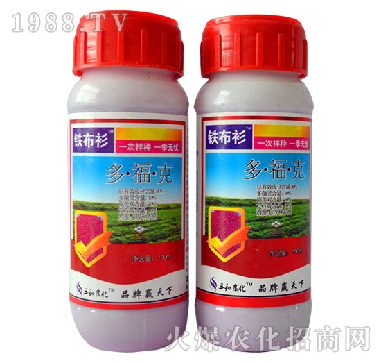 30%�����-�F����-�읙����