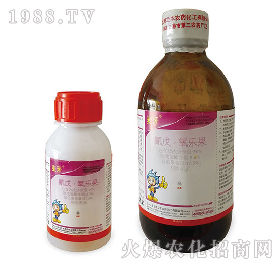 20%��������������-����-��������