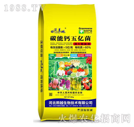 ̼���}��|��-��Խ����