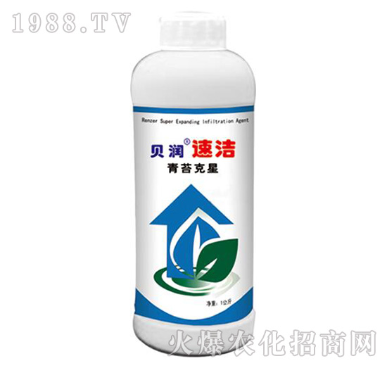 ��̦����-ؐ��(r��n)�ٝ�-ɭ��