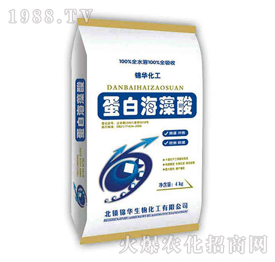 ���׺�����-һ����