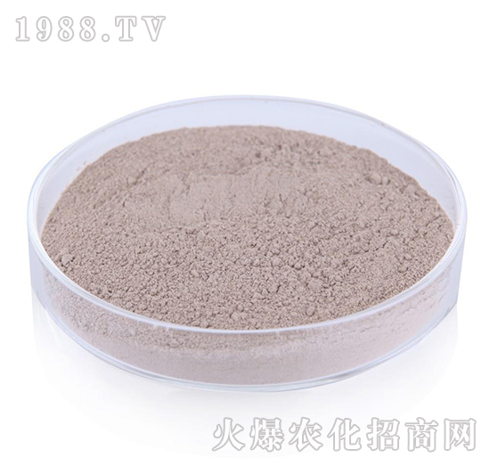 ��(f��)��ѿ�ߗU��-�G�]����