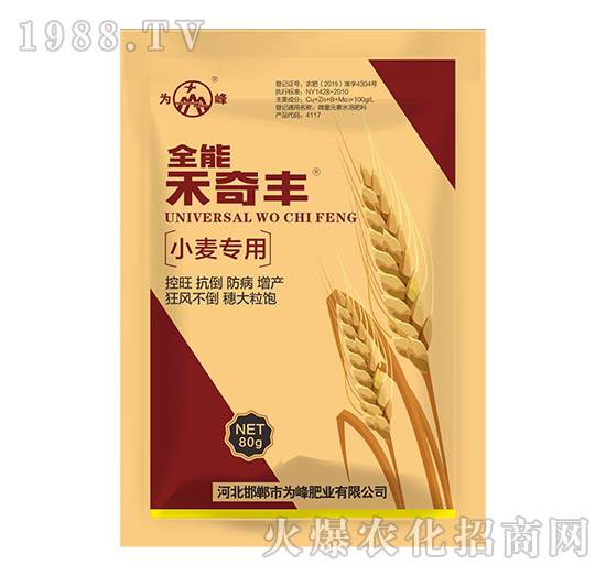 С������ȫ�ܺ����S-���