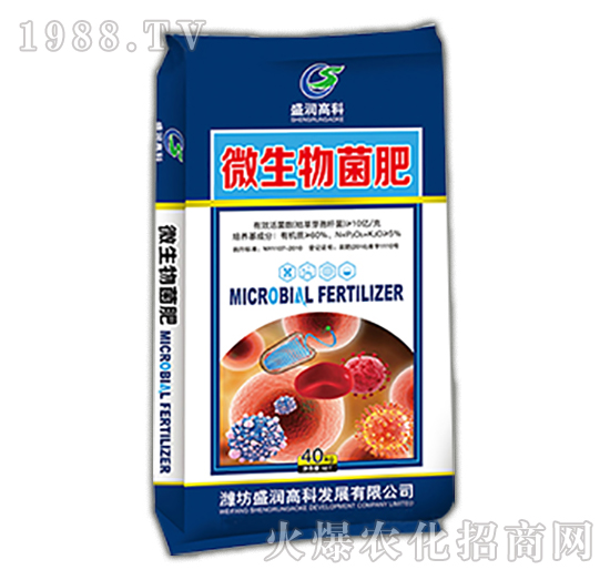 ΢�������-ʢ���߿�