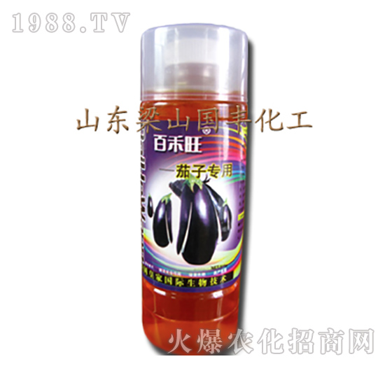 ���ӌ����~���-��ɽ���S