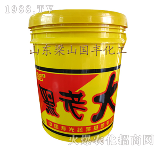 黑老大-梁山國豐