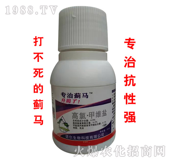 ���ȡ��׾S�}-�����E�R-�Z������