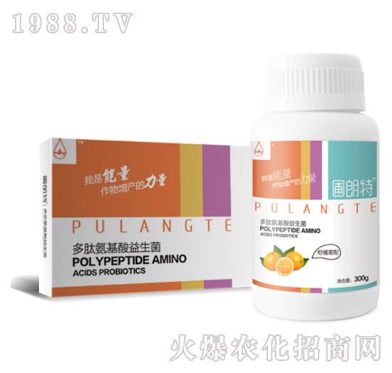 ��������-���İ�����������-������