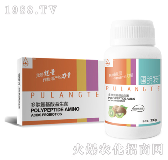 �J��������-���İ�����������-������