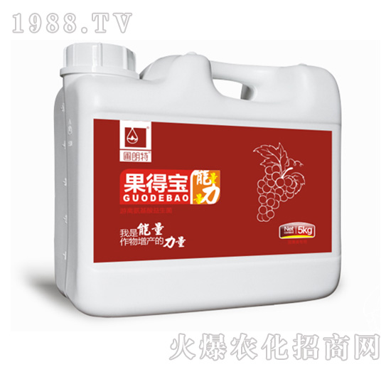 ���Ì�-������