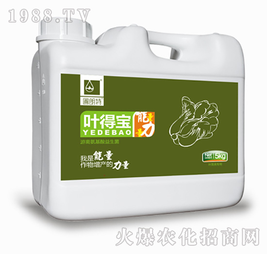 �~�Ì�-������