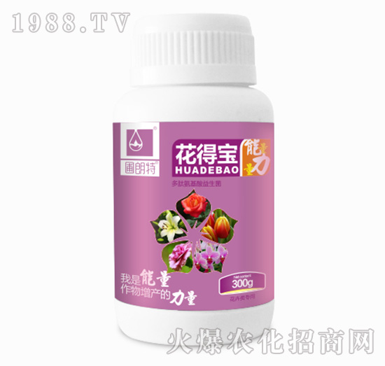 ���Ì���ƿ��-������