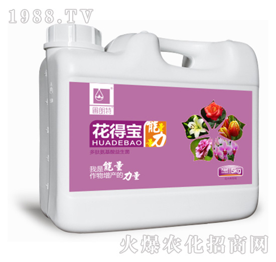 ���Ì����أ�-������