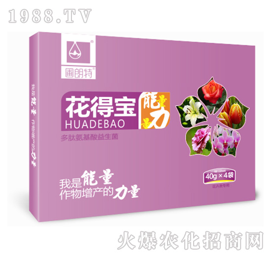 ���Ì����У�-������