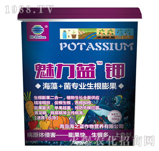 �����{(l��n)�-��֮�{(l��n)