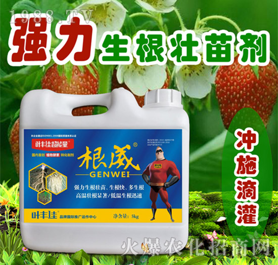 ��(qi��ng)���������焩-����-�~�S�ѳ�����