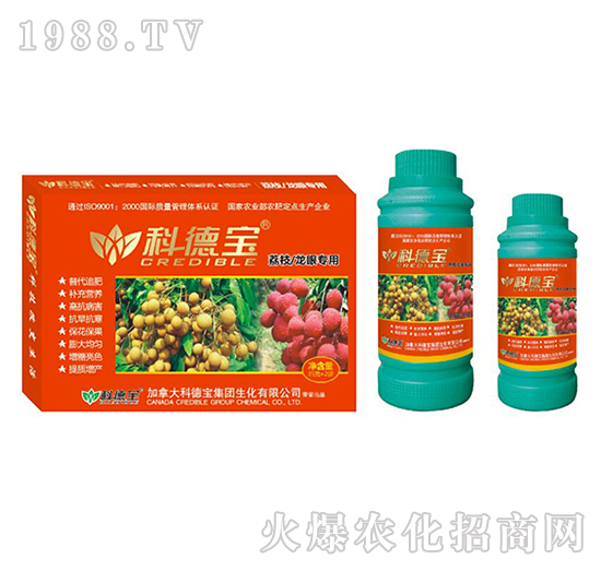 ��֦�����ی��àI�B(y��ng)���a(ch��n)�{(di��o)�턩-�Ƶ�