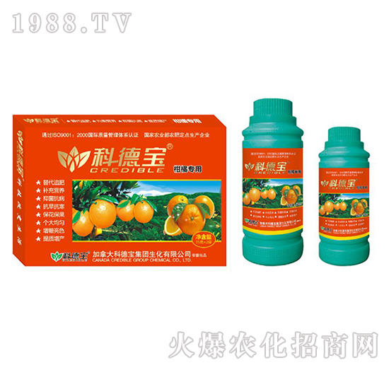 ���ٌ��àI�B(y��ng)���a(ch��n)�{�턩-�Ƶ�