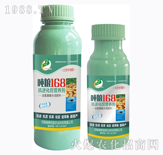 ���滯�ؠI�B(y��ng)��-���Z168����-��̩���