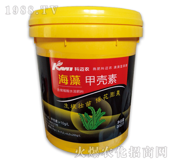 ����ך���-���~�r(n��ng)