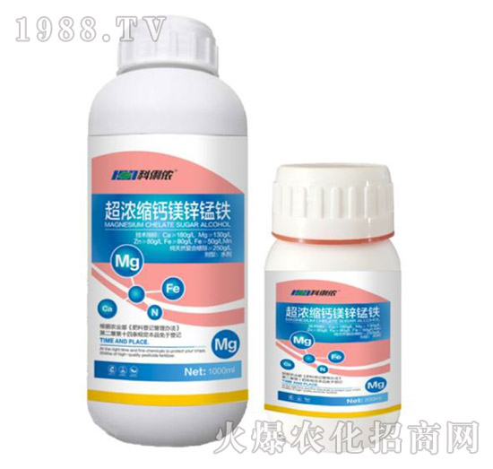 ����s�}�V�\�i�F-�����r