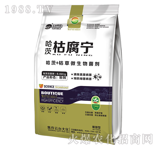 ���Ŀݸ���-���_��