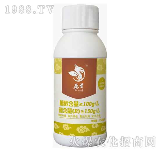 ���S-�{(l��n)���r(n��ng)��