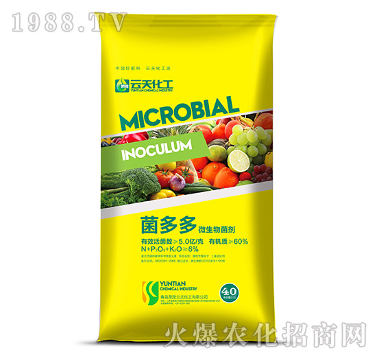 ΢�������-�����-���컯��