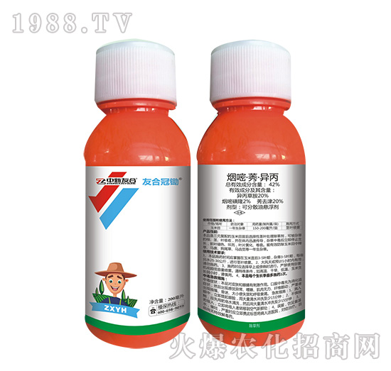 30%���ס�ݬ������-�ѺϹ��z-�����Ѻ�