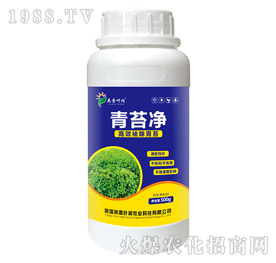 ��̦��-Ӣ���~��