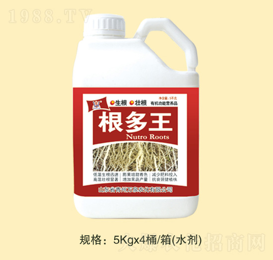 ������-�fȪ�r��