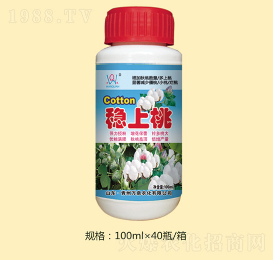 ��(w��n)����-�fȪ�r��