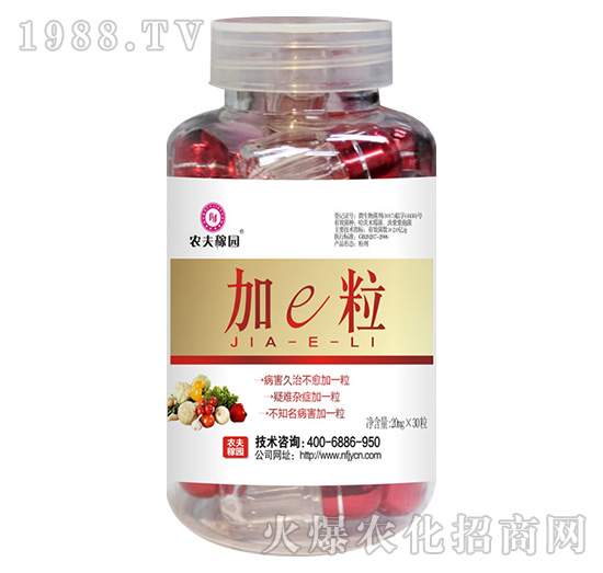 ��e��������΢���������-�r��ڈ@