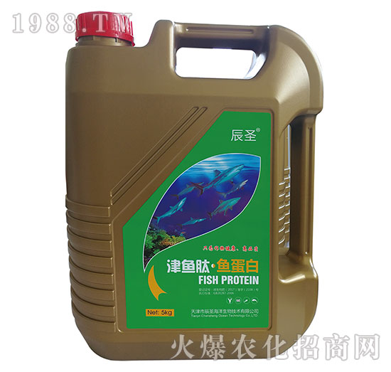 ���~�ġ��~����-��ʥ����