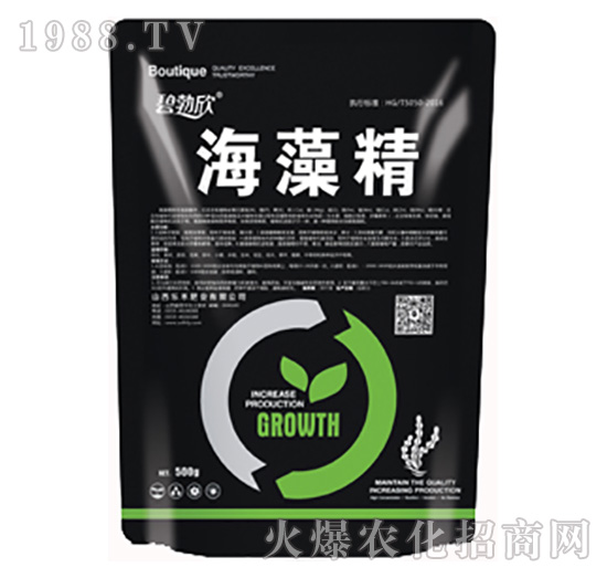 ���徫-����