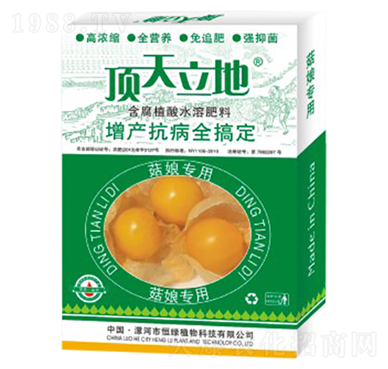 ���(zhu��n)�ú���ֲ��ˮ�ܷ���-�������-��Gֲ��