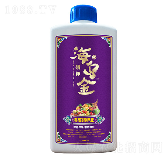 ������⛷�-������-��������