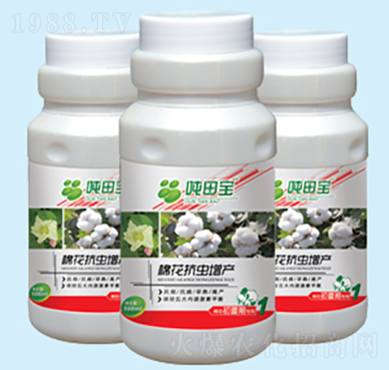 �޻������ڌ�����-���-�����S��