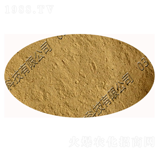 ѿ�ߗU���ɝ��Էۄ�-�������