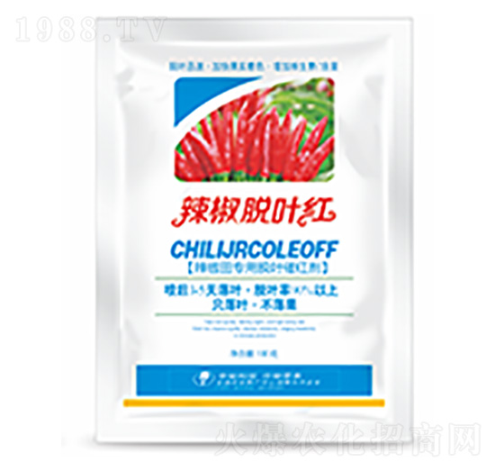 ����Ó�~�t-�����Ƽ�